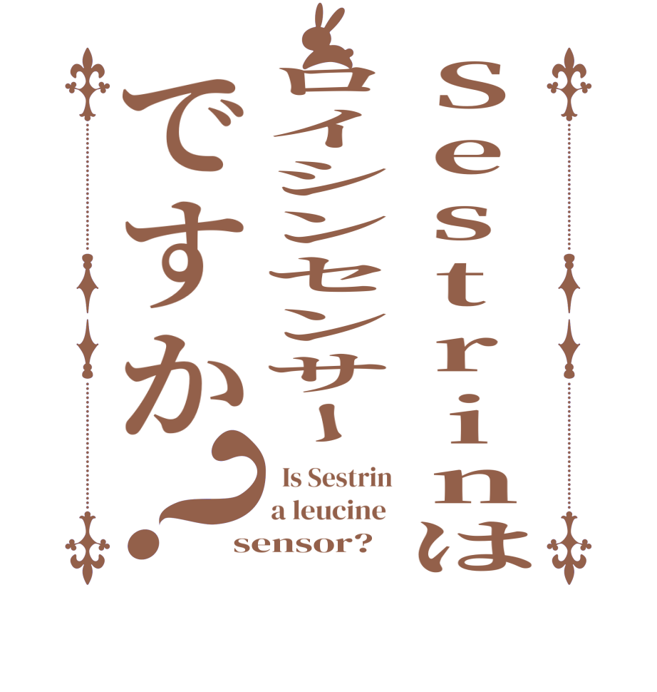 Sestrinはロイシンセンサーですか？  Is Sestrin a leucine  sensor?  