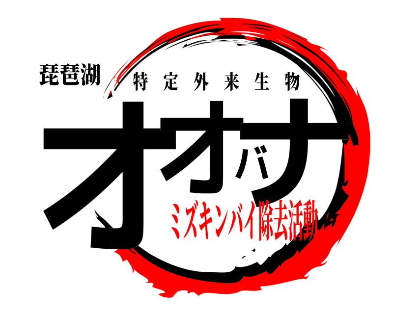 琵琶湖 オオバナ 特定外来生物 ミズキンバイ除去活動