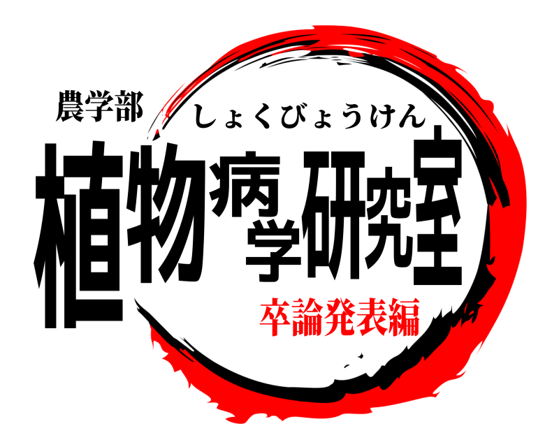 農学部 植物病学研究室 しょくびょうけん 卒論発表編