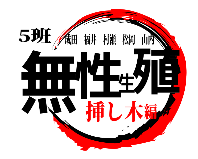 5班 無性生殖 成田福井村瀬松岡山内 挿し木編