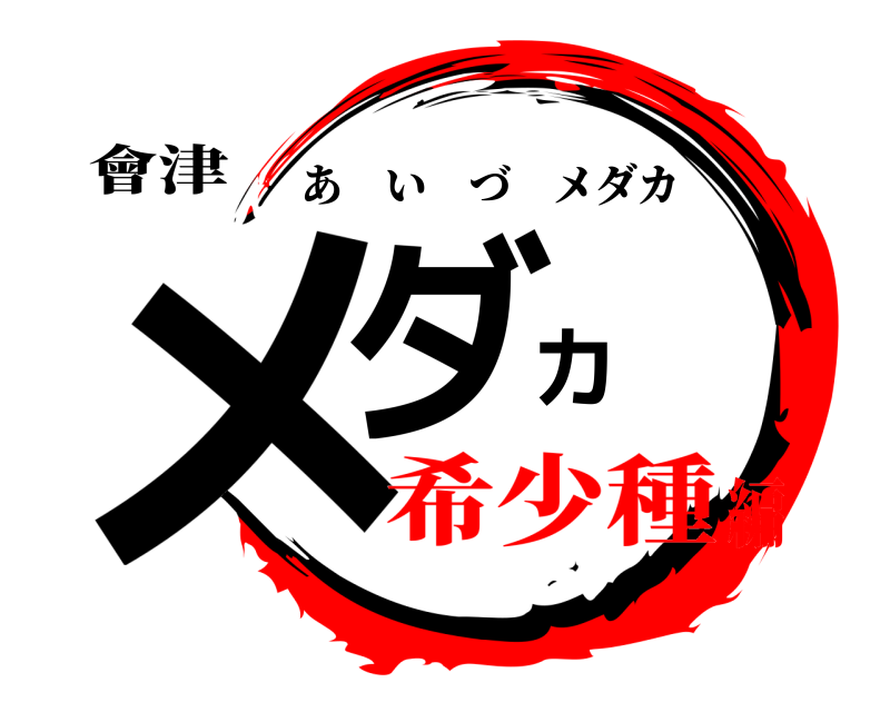 會津 メダカ あいづメダカ 希少種編