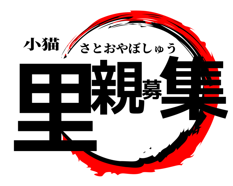 小猫 里親募集 さとおやぼしゅう 