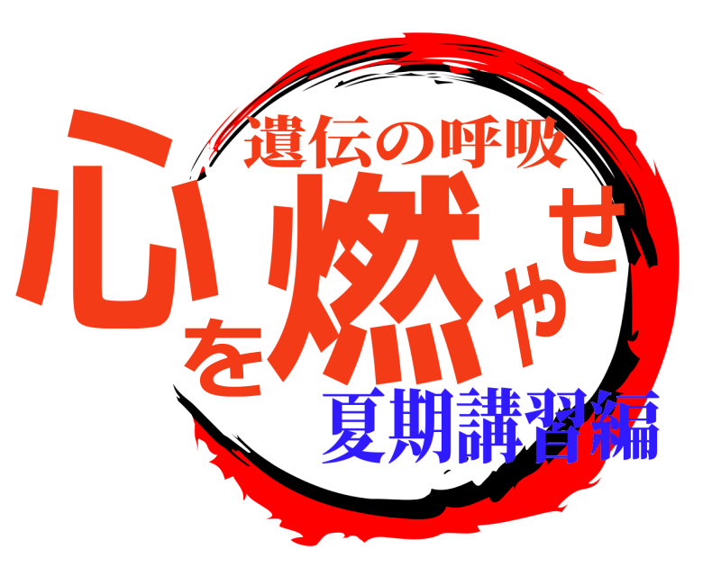  心を燃やせ 遺伝の呼吸 夏期講習編