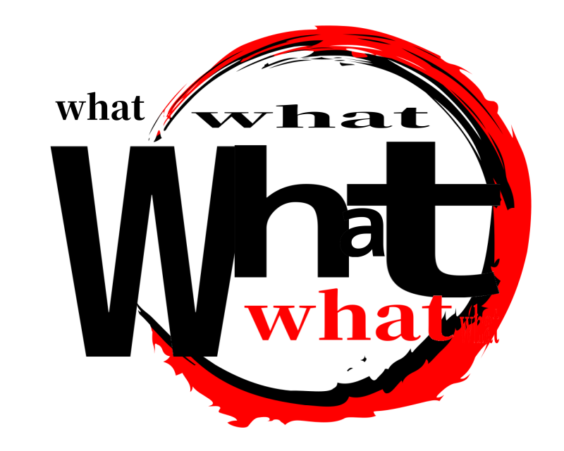 what what what whatwhat