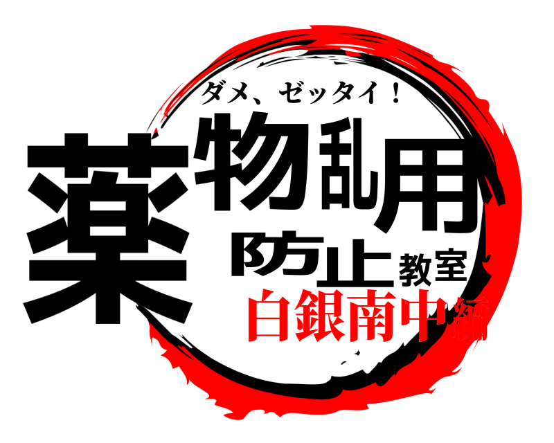  薬物乱用防止教室 ダメ、ゼッタイ！ 白銀南中編