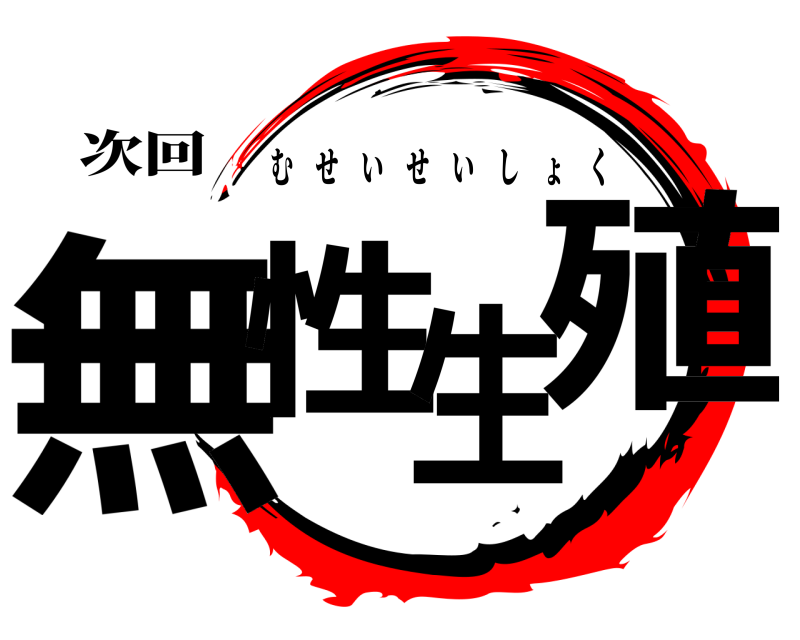 次回 無性生殖 むせいせいしょく 