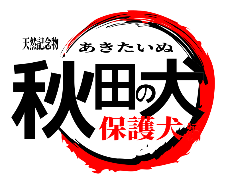 天然記念物 秋田の犬 あきたいぬ 保護犬編