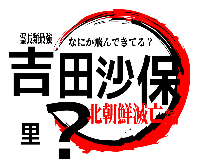 霊長類最強 吉田沙保里？ なにか飛んできてる？ 北朝鮮滅亡編