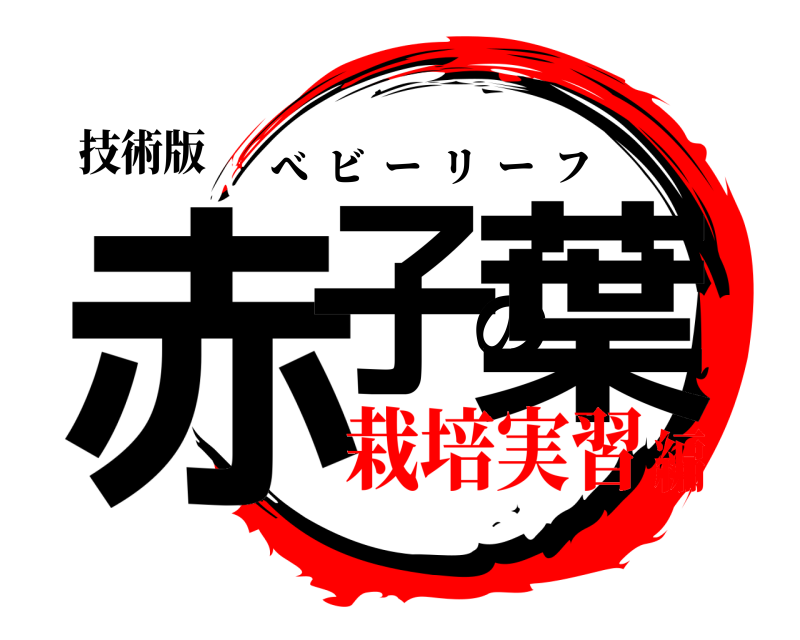 技術版 赤子の葉 べビーリーフ 栽培実習編