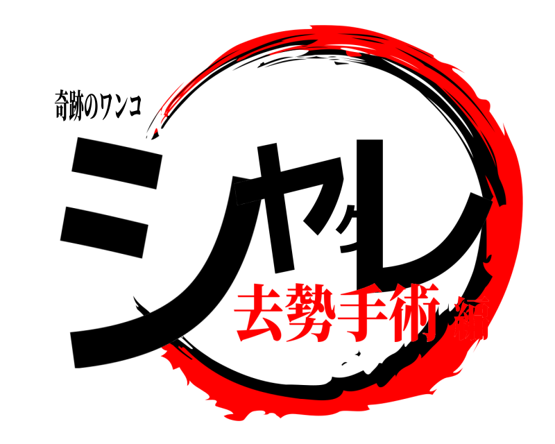 奇跡のワンコ シャクレ  去勢手術編