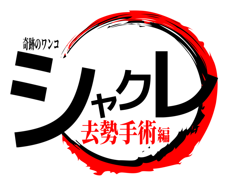 奇跡のワンコ シャクレ  去勢手術編