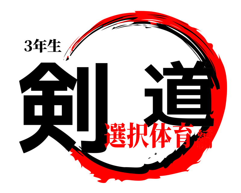 3年生 剣  道  選択体育編
