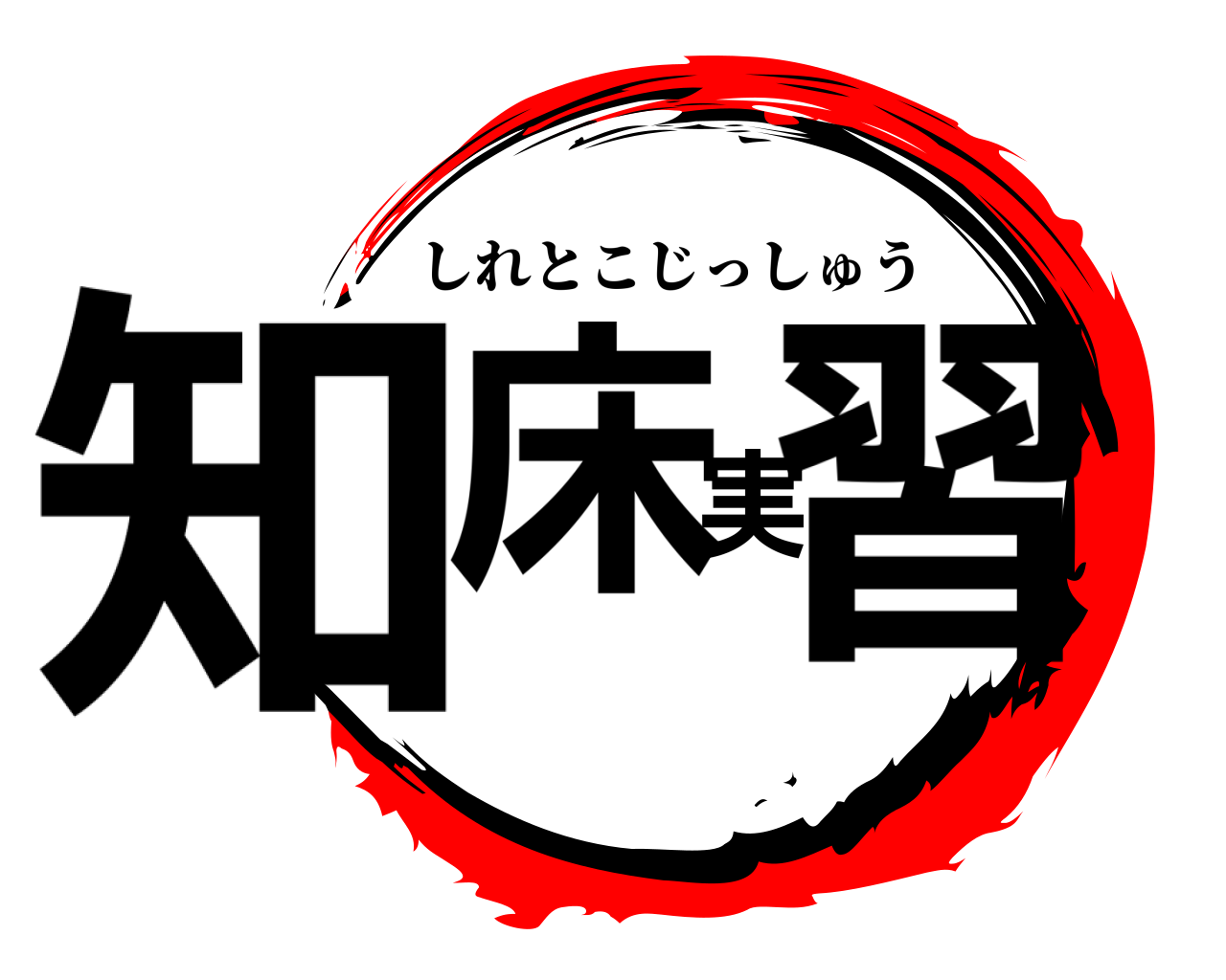 知床実習 しれとこじっしゅう