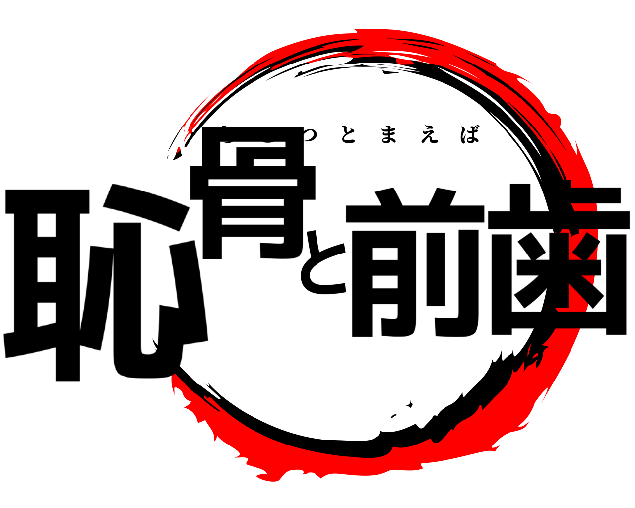 恥骨と前歯 ちこつとまえば