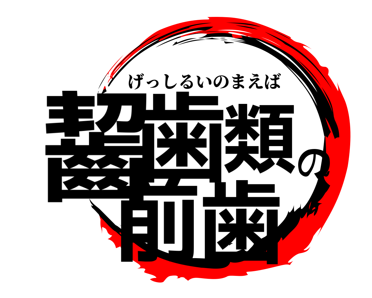 齧歯類の前歯 げっしるいのまえば