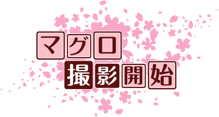 作成ロゴ