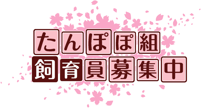 作成ロゴ
