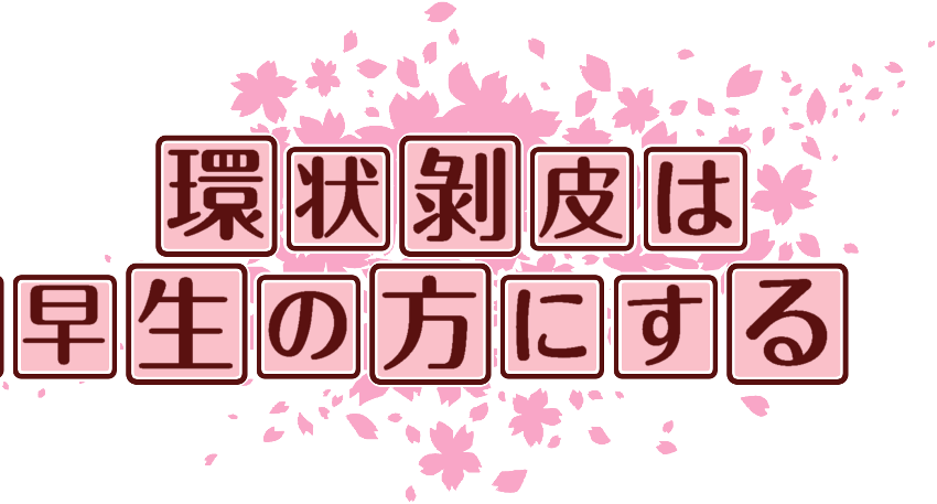作成ロゴ