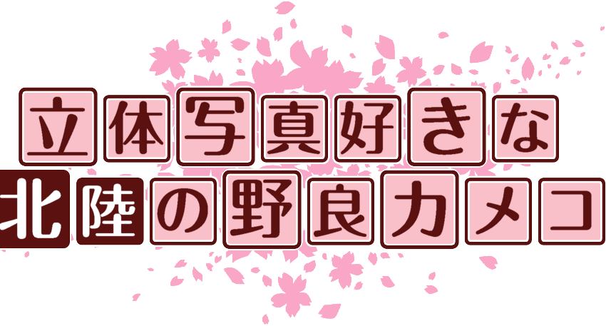 作成ロゴ